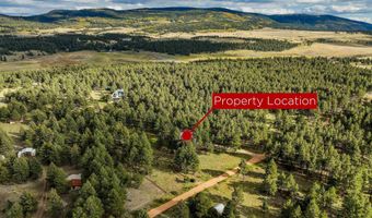 46 Susan Ln, Angel Fire, NM 87710