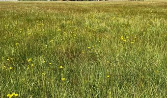 156 Golden Forest Rd, Bayfield, CO 81122