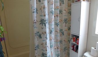 205 Kingston Canyon Rd, Austin, NV 89310