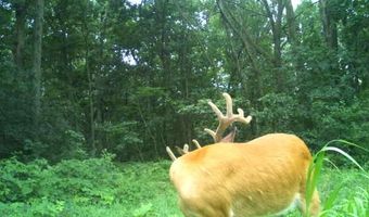 Simons Rd, Alma, WI 54610