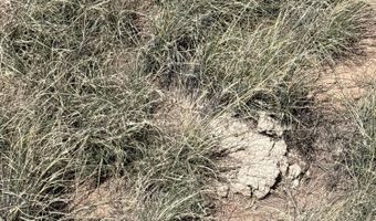 01 Wsmr P Route 7, Carrizozo, NM 88301