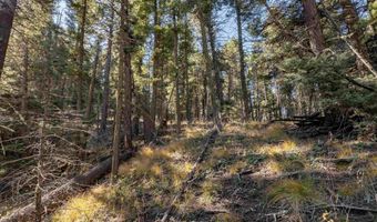 Back Basin Rd lot 145, Angel Fire, NM 87710