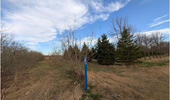2051 120th St, Balaton, MN 56115