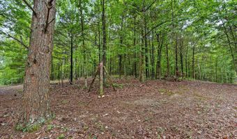 12706 Cranfield Rd, Birchwood, TN 37308