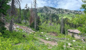 12176 E BIG COTTONWOOD Cyn, Brighton, UT 84121