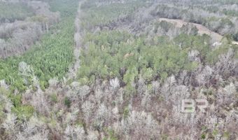 21000 Block Highway 21, Beatrice, AL 36425