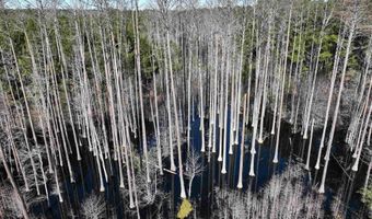 00 Hadwin Rd, Bamberg, SC 29003