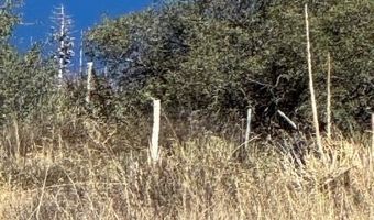 4700 Shannon View Rd & Telephone Rd, Acton, CA 93510