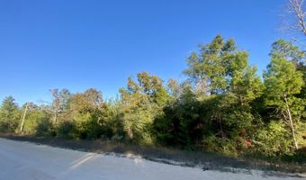 Anderson Drive lot 34, Alford, FL 32420