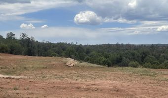 1751 Forest Service Rd 163, Clay Springs, AZ 85923