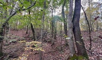 Perry Chapel Road, Ashland, MS 38603