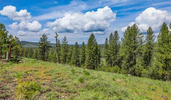 TBD Tamarack View Drive, New Meadows, ID 83654