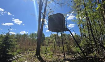 15252 27 Mile Rd, Albion, MI 49224