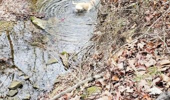 4775 S 50th Rd, Aldrich, MO 65601