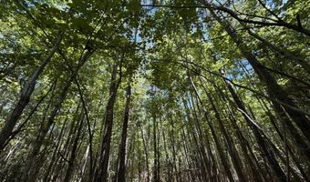 0 Five Notch Rd, Bradley, SC 29848