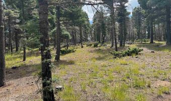 S Vail Overlook lot 310, Angel Fire, NM 87710