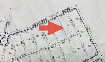 Nezperce Drive lot 128, Alford, FL 32420