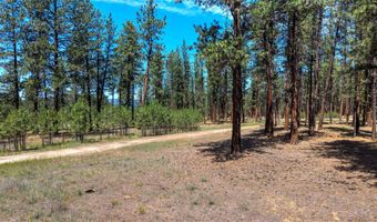 1120 Hole In The Wall Rd, Bonner, MT 59823
