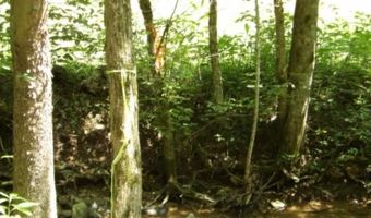 8 63ac Gravely Hill Rd, Bethpage, TN 37022