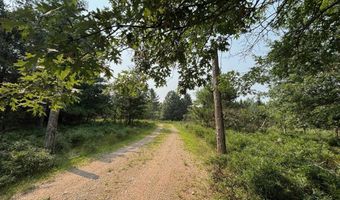 10701 W SINKEY Rd, Amberg, WI 54102