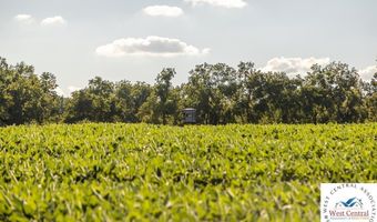 NW 630, Appleton City, MO 64724