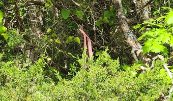 Strawberry Valley Road, Ash Flat, AR 72513