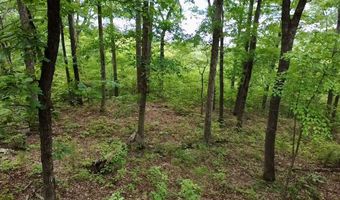 Paradise Lane, Bee Branch, AR 72013