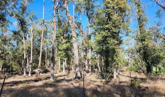 SW 13TH STREET, Bell, FL 32619