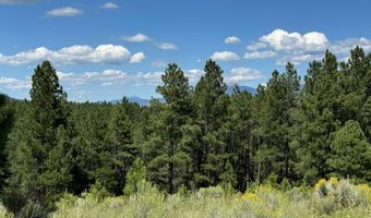 Lot 458 San Mateo, Angel Fire, NM 87710