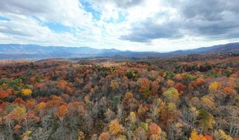 135 49ac Webb Creek Rd, Andrews, NC 28901