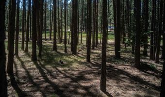 Cimarron Trail lot 551, Angel Fire, NM 87710
