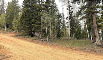 646 W Ski View Dr, Brian Head, UT 84719