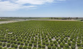 6089 Road 38, Alpaugh, CA 93201