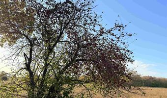 Lot 4 COUNTY ROAD Z, Aniwa, WI 54408