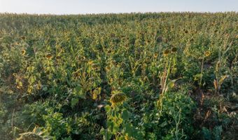 0000 450th Rd, Bassett, NE 68714