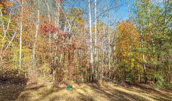 239 Gallery Ct, Acworth, GA 30101