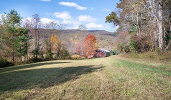 4149 NE Suiter Rd, Bastian, VA 24314