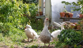 6060 Freedom Blvd, Aptos, CA 95003