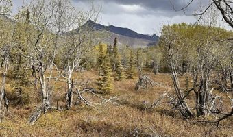 B005 Packsaddle Road, Chickaloon, AK 99674