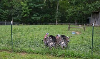5144 Judson Rd, Alderson, WV 24910