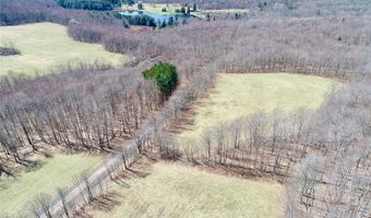 Lot 2 Doig Hollow Road, Andes, NY 13731