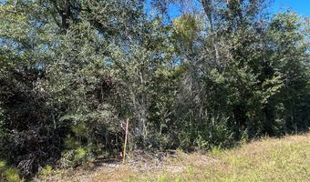 20 Ac Coot Adams Rd, Ashford, AL 36312