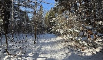 US-1 lot 10, Baring Plt, ME 04694