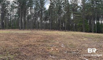 Ronald Sanks Road, Bay Minette, AL 36507