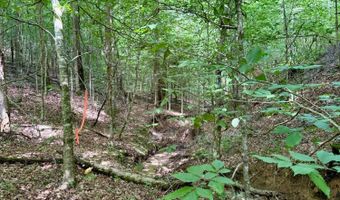 00 Coal Branch Rd, Beattyville, KY 41311