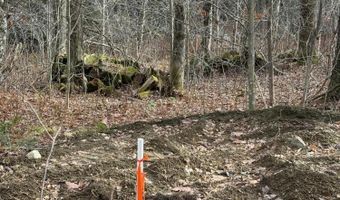 LOT 8 Benton Hill Rd, Becket, MA 01223