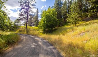 0 Whitetail Dr, Ahsahka, ID 83520