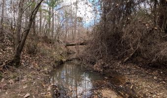 Saint John Road, Braxton, MS 39044