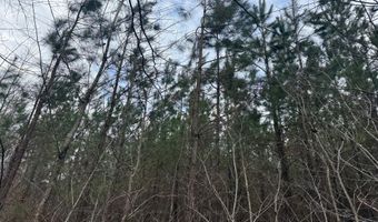 HARDWARE RD lot 2, Arvonia, VA 23004