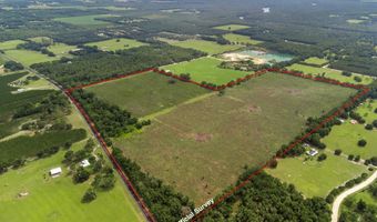 7009 129 Hwy, Bell, FL 32619